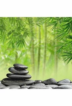 Duschmeister Duschrückwand Motiv Set Wellness