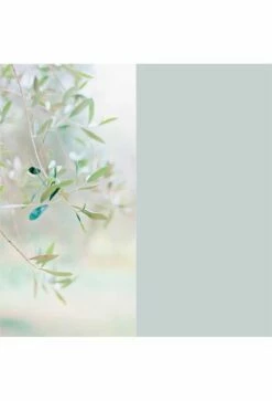 Duschmeister Duschrückwand Motiv Set Olive