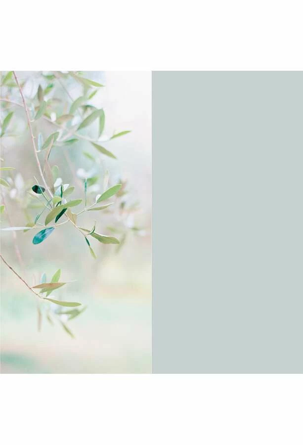 Duschmeister Duschrückwand Motiv Set Olive