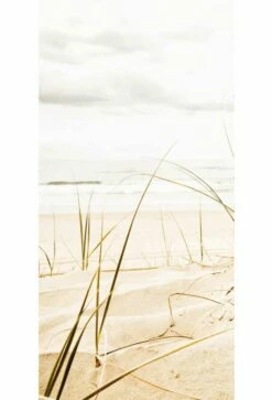 Duschmeister Duschrückwand Motiv Düne