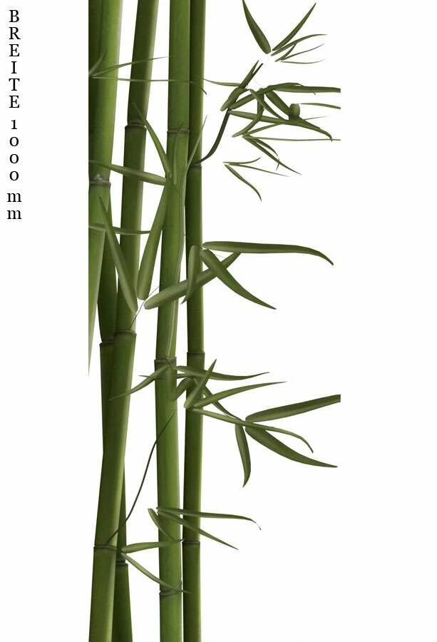 Schulte Decodesign Duschrückwand Foto Bambus – Bild 3