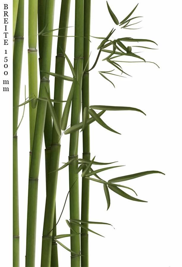 Schulte Decodesign Duschrückwand Foto Bambus – Bild 4