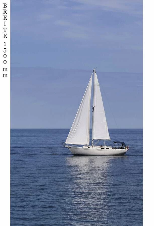 Schulte Decodesign Duschrückwand Foto Segelboot – Bild 4