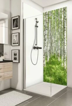 Schulte Decodesign Duschrückwand Foto Birkenwald