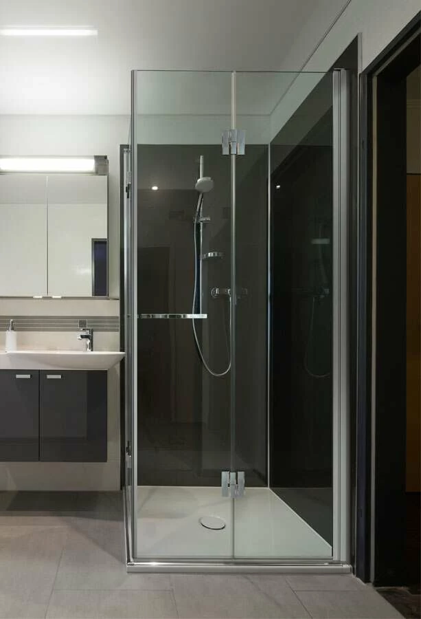 Duscholux PanElle Individual Duschrückwand 6 Mm Taupe Metallic 1000 X 2500 Mm – Bild 2