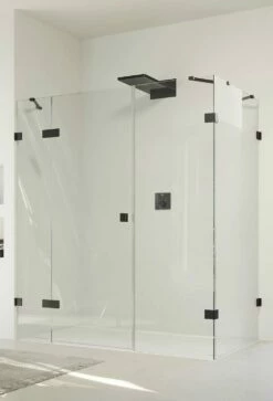 Hüppe SolvaPro Rahmenlos Schwingtür An Festteil M. Segment Und SW Rechts